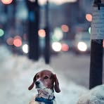 Profile Picture of Simon Benson (@Simon-Benson) on Facebook