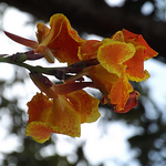 Profile Picture of Luisa Mariana Cabrera Ramirez (@luisamariana.cabreraramirez) on Flickr