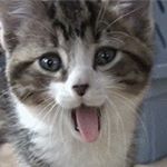 Joseph Nason - Instagram Profile Picture of Joseph Nason (@joseph.nason.1088) on Instagram