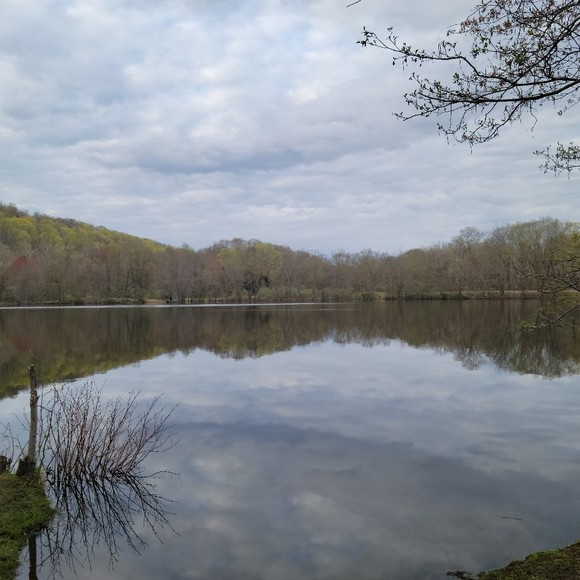 Profile Picture of Kayleen Bonacorsi (@bonacrisco) on Poshmark