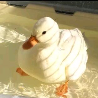 Profile Picture of ConstantineM (@constantinem065) on Tiktok