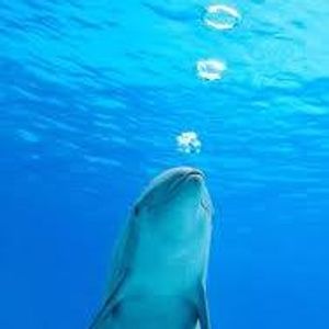 Profile Picture of Jessica Hollow (@jessica.hollow.96) on Myspace