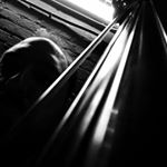 Profile Picture of Steve Landis (@slandismusic) on Instagram