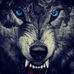 Profile Picture of Kevin Schutt (@Kevin-Schutt) on Facebook