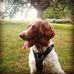 Profile Picture of Neil Denigan (@neil.denigan) on Facebook