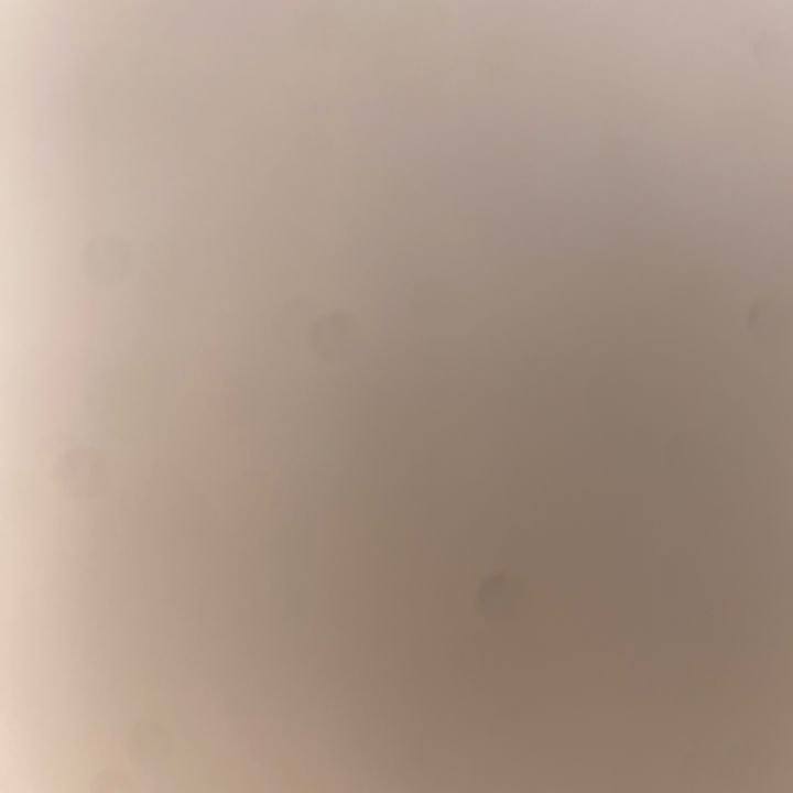 Profile Picture of Paul Meier (@paul_1427) on Tiktok