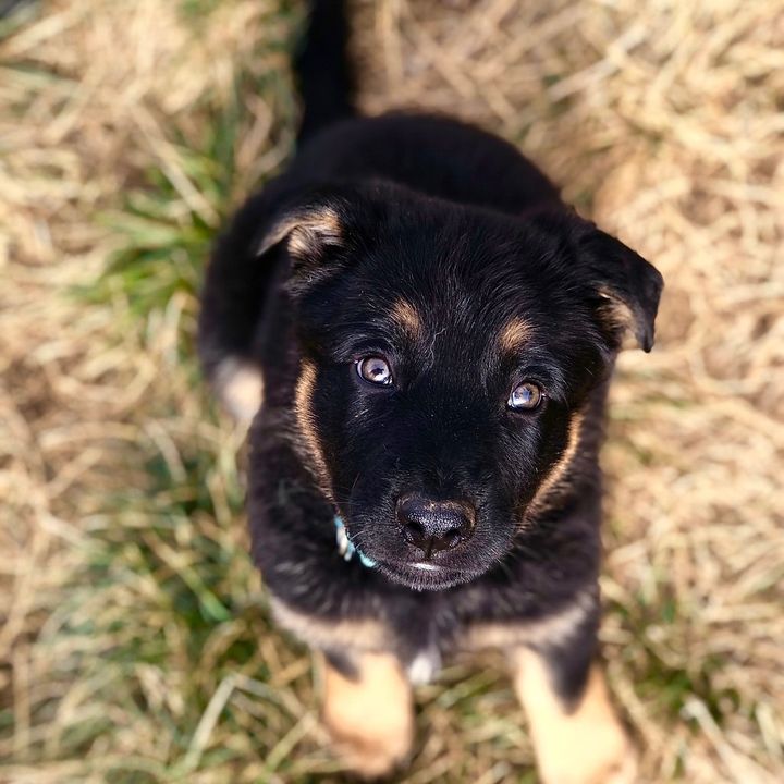 Profile Picture of Stacey Oster 🌸🌸🌸 (@staceyoster) on Tiktok