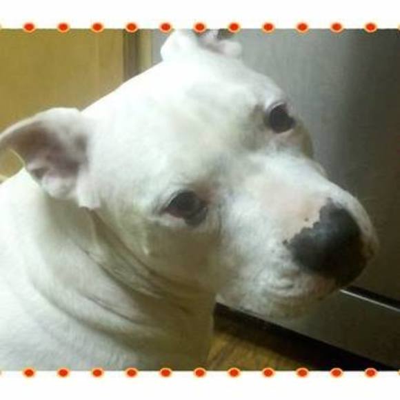 Profile Picture of Kristin Perrins (@kristin02) on Poshmark