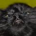 Profile Picture of david klukas (@klukaspower) on Pinterest