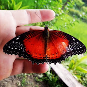 Profile Picture of REDTHUNDER Vlog (@redthundervlog5749) on Youtube