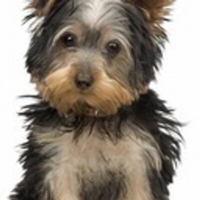 Profile Picture of May Manning (@maymanning10) on Twitter