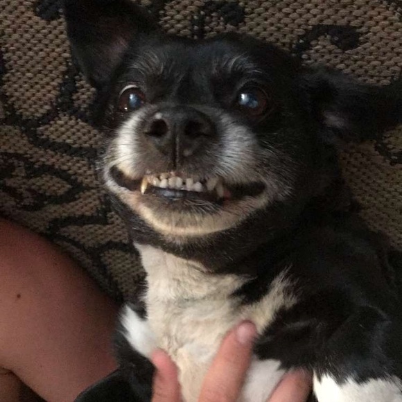 Profile Picture of Drew Perkins (@drewp11) on Poshmark