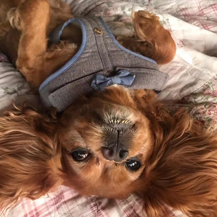 Profile Picture of Meredith Cheek (@@meredithcheek) on Tiktok