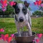Profile Picture of Carl Connor (@carlton_john_connor) on Instagram