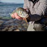 joanne_prescott - Instagram Profile Picture of joanne_prescott (@joanne_prescott) on Instagram