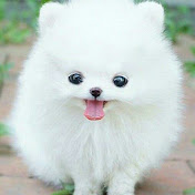 Profile Picture of Lily Felix (@lilyfelix2507) on Youtube