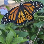 Profile Picture of Cheryl Hendricks (@Cheryl-Hendricks) on Facebook