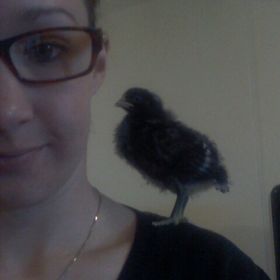 Profile Picture of Katherine Stathes Nicholas Coffman (@katherinestathe) on Pinterest