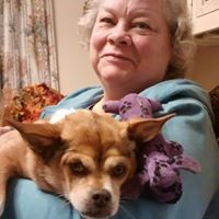 Profile Picture of Cindy Mcnutt (@cindy-mcnutt-3) on Quora