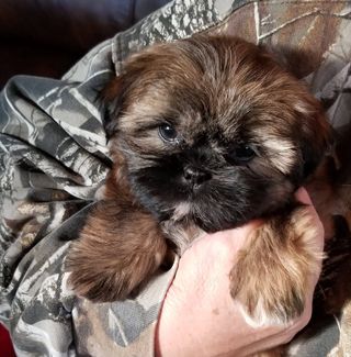 Profile Picture of Cindy BurtKinney (@cindy.burtkinney) on Facebook