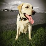 Profile Picture of Steve Shonka ♧ (@steve_shonka) on Instagram