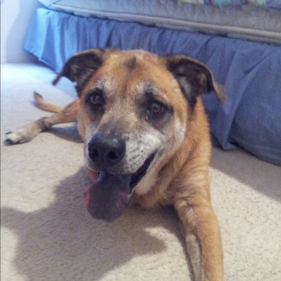 Profile Picture of Marina Lopez (@marina_lopez18) on Poshmark