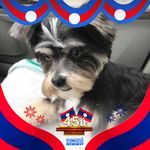 Profile Picture of Rob Neale (@rob.neale.14) on Instagram