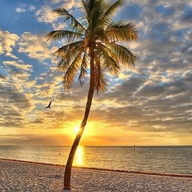 Profile Picture of Cindy Stevens (@schrade79) on Pinterest