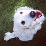 Profile Picture of Sheryl Mellow-Gallagher (@samg57) on Instagram