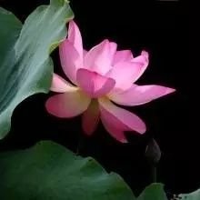 Profile Picture of CP_Yee/BARRY (@CPYEE77) on Twitter