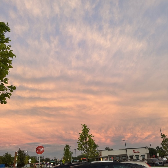 Profile Picture of Jenna Osinski (@jenxnicole) on Poshmark