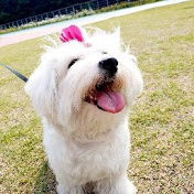 Profile Picture of Jayson Park (@jaysonpark4207) on Youtube