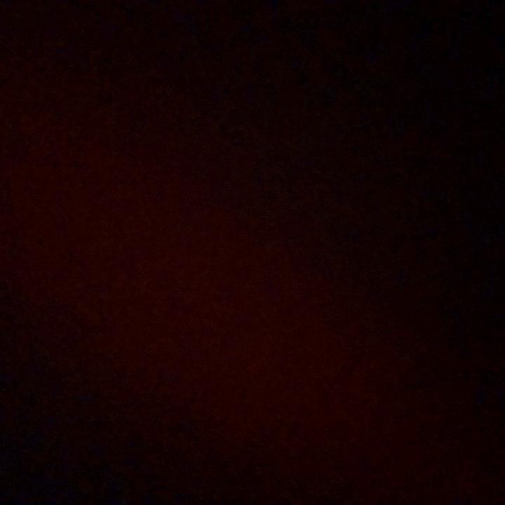 David Willemse - Tiktok Profile Picture of David Willemse (@@davidcwillemse) on Tiktok