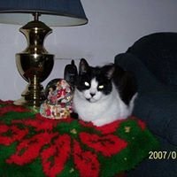 Profile Picture of Sandra Propp (@sandyandstinker62) on Myspace