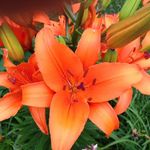 Profile Picture of Pamela Frank (@pamela.frank.750) on Instagram