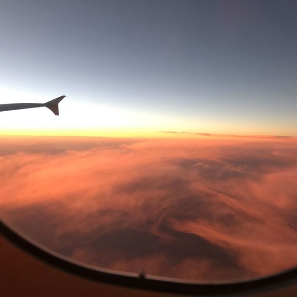 Luke Morales - Poshmark Profile Picture of Luke Morales (@lpmoralo1981) on Poshmark