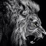Profile Picture of Alexander Pratt (@alexpratt13) on Pinterest