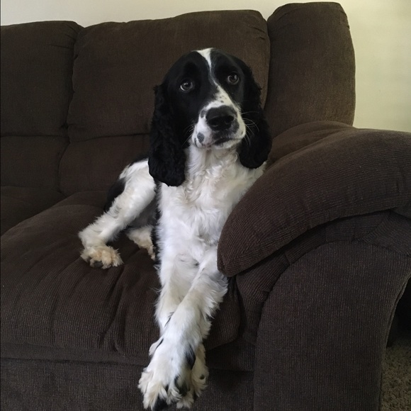 Profile Picture of Grace Zaski (@gracez61544) on Poshmark