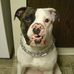Profile Picture of Kimbo Slice (@kimbo.slice.3154) on Facebook