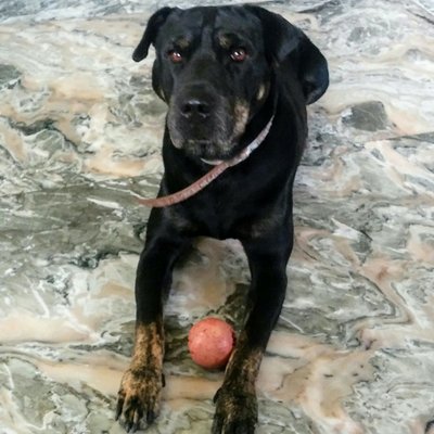 Profile Picture of Alvaro Dosil (@jadosil) on Twitter