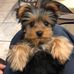 Profile Picture of Jose Solache (@jose.solache.54) on Facebook