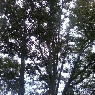 Profile Picture of Cedric Stewart (@cedric.stewart.5249) on Facebook