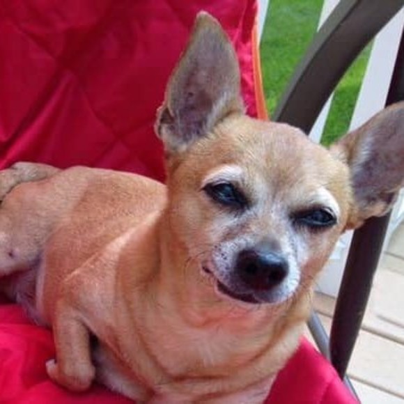 Nancy Santos - Poshmark Profile Picture of Nancy Santos (@nancysantos332) on Poshmark