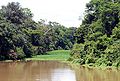 Profile Picture of Tefé Riveron Wikipedia