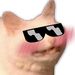 Profile Picture of Jesse Egberts (@SprennerYT) on Pinterest