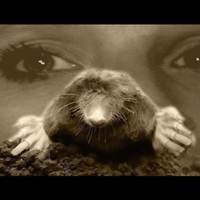 Profile Picture of Samantha Needham (@Sneedamole) on Twitter
