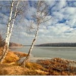 Profile Picture of Eric Pacer (@23ericpacer) on Instagram