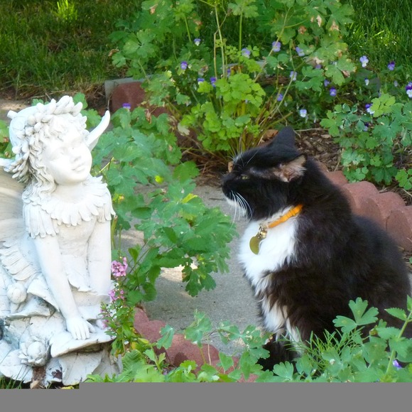 Profile Picture of Sue Trowbridge (@soiamglam10) on Poshmark