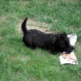 Profile Picture of Miranda Timmons (@mirandat0232) on Pinterest