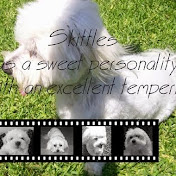 Profile Picture of Brianna Nguyen (@SmexiHotMessSkittles) on Youtube